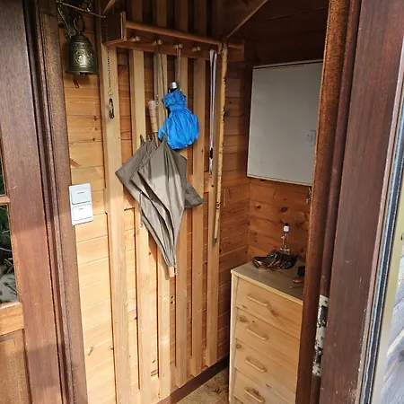 Lizelle Дюрбюи